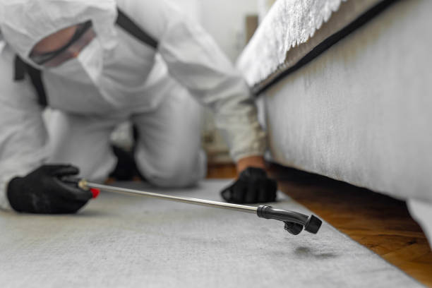 Professional Ant Control technician working in Van Horn, TX