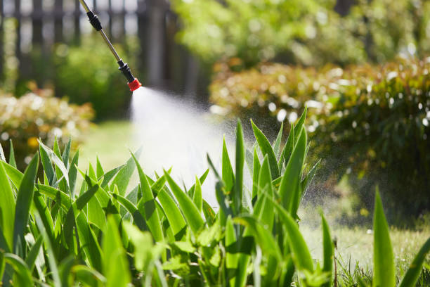 24/7 Emergency Ant Control experts in Van Horn, TX