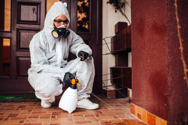 Reliable Ant Control contractor in Van Horn, TX by Nex Pest Control