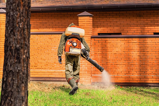 Top rated local Ant Control specialists in Van Horn, TX